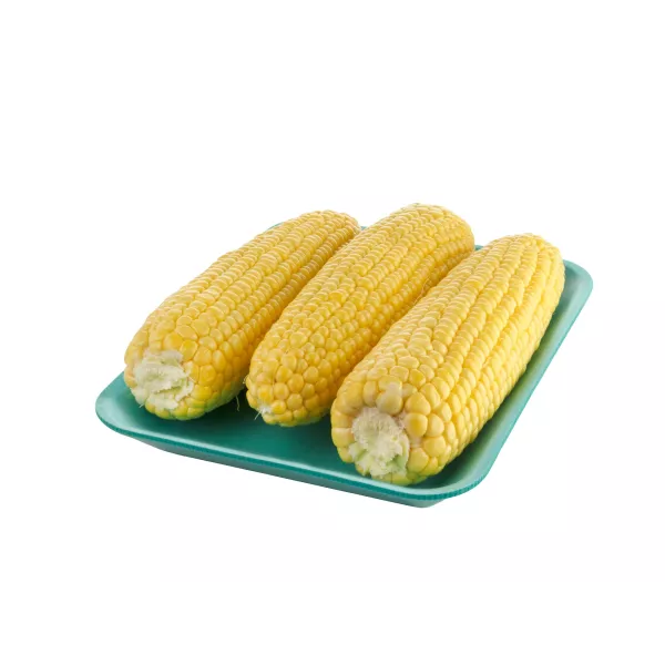 Bandeja 619 Verde - 100/Bulto