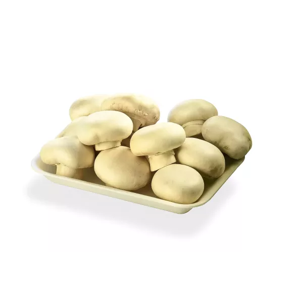 Bandeja 621 Liviana - 100/Bulto