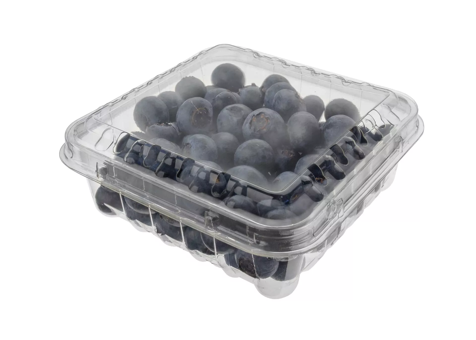Clamshell Frutas 125 Grs Perf - 1000/Caja