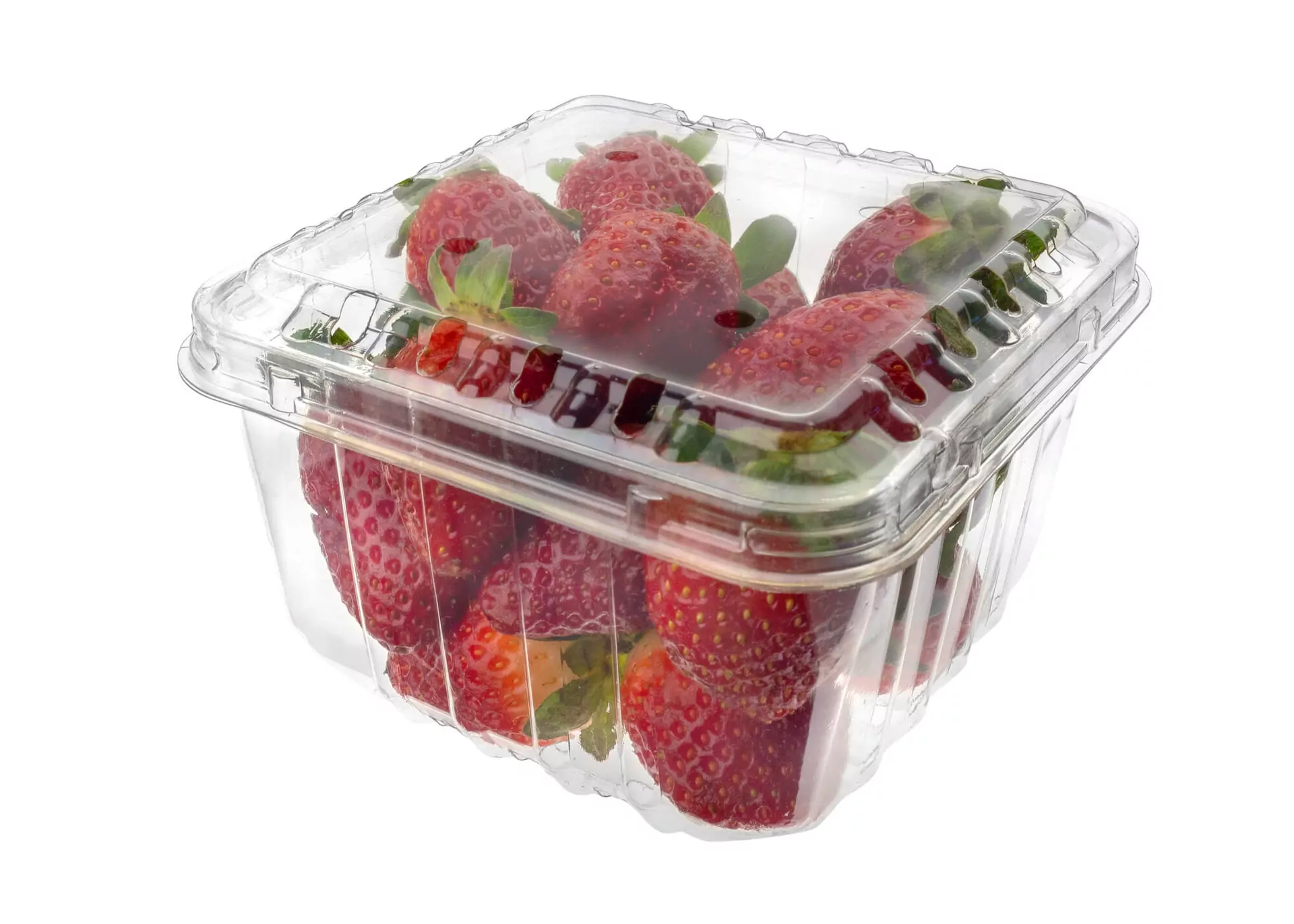 Clamshell Frutas 250 Grs Perf - 800/Caja
