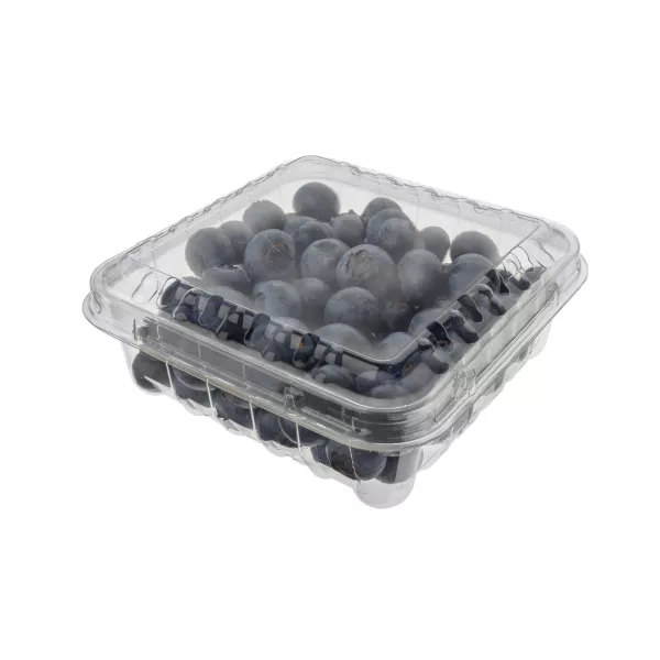 Clamshell Frutas 125 Grs Perf - 1000/Caja